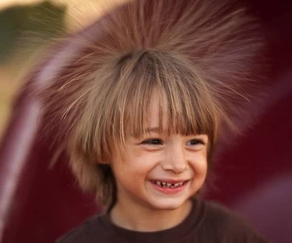 ������ ��������