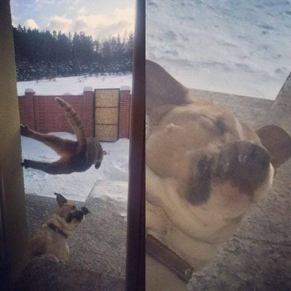 ������ ��������