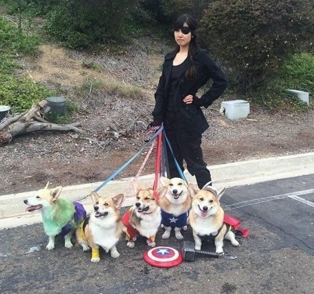 ������ ��������