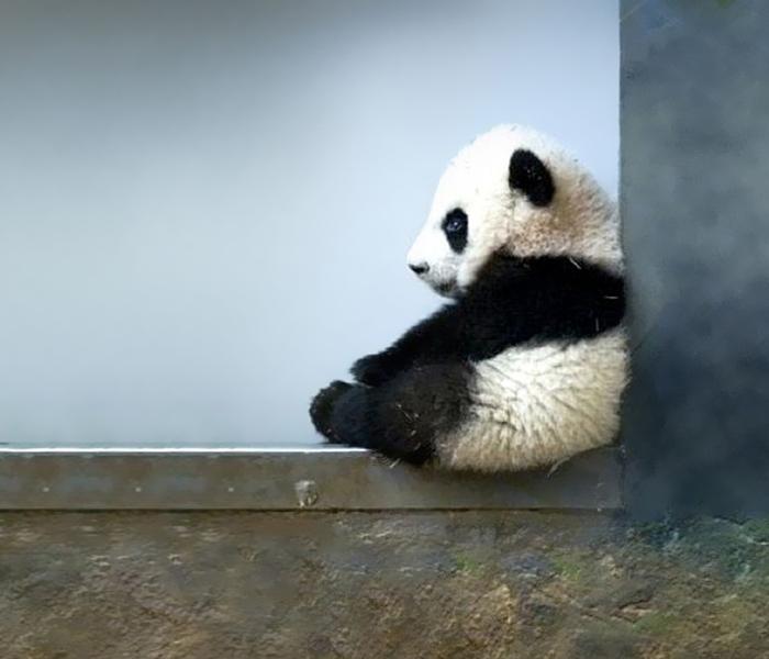 ������ ��������