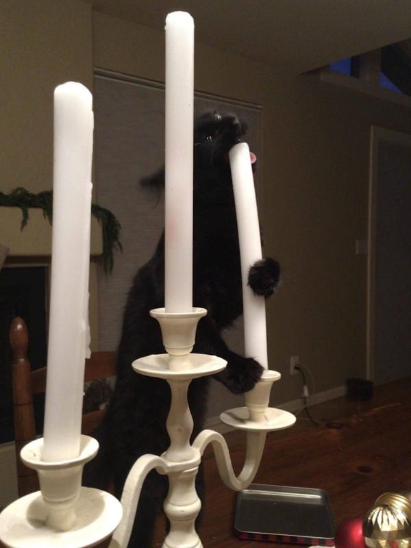 ������ ��������