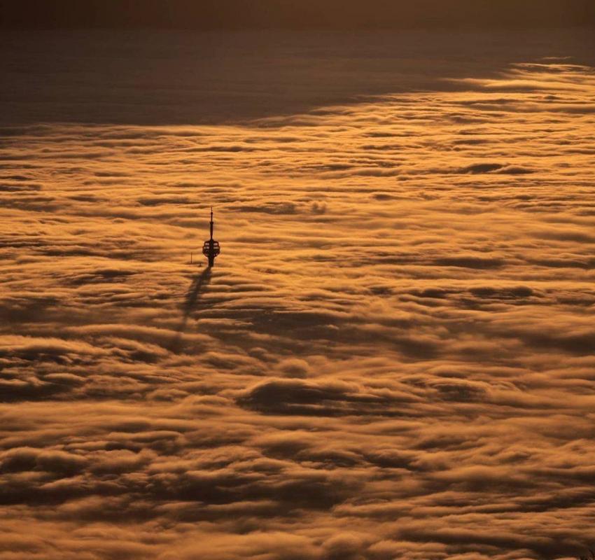 ������ ��������