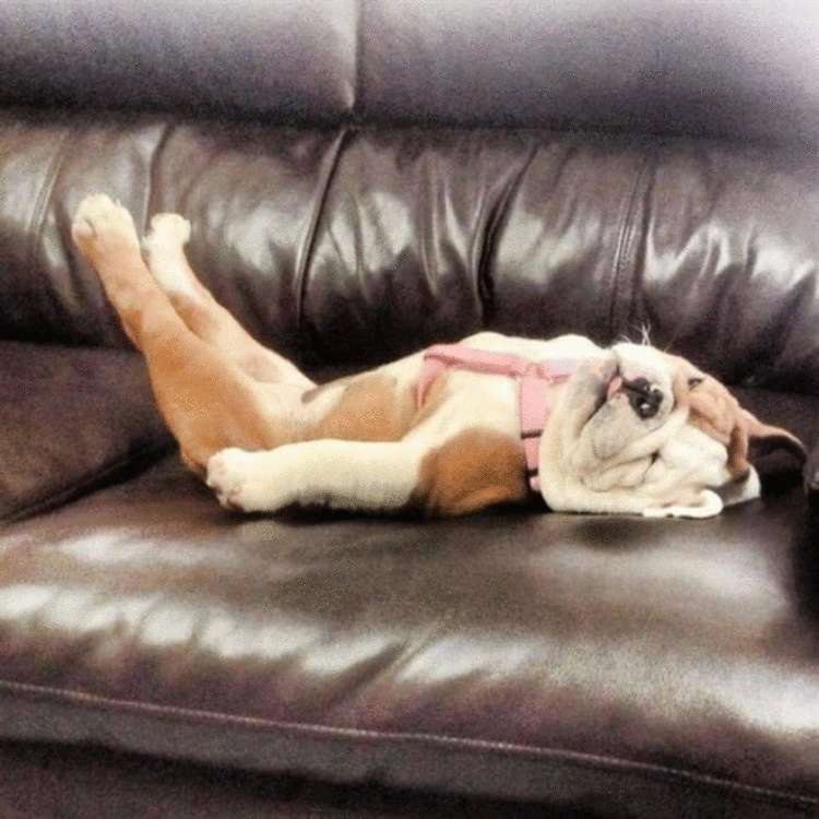 ������ ��������