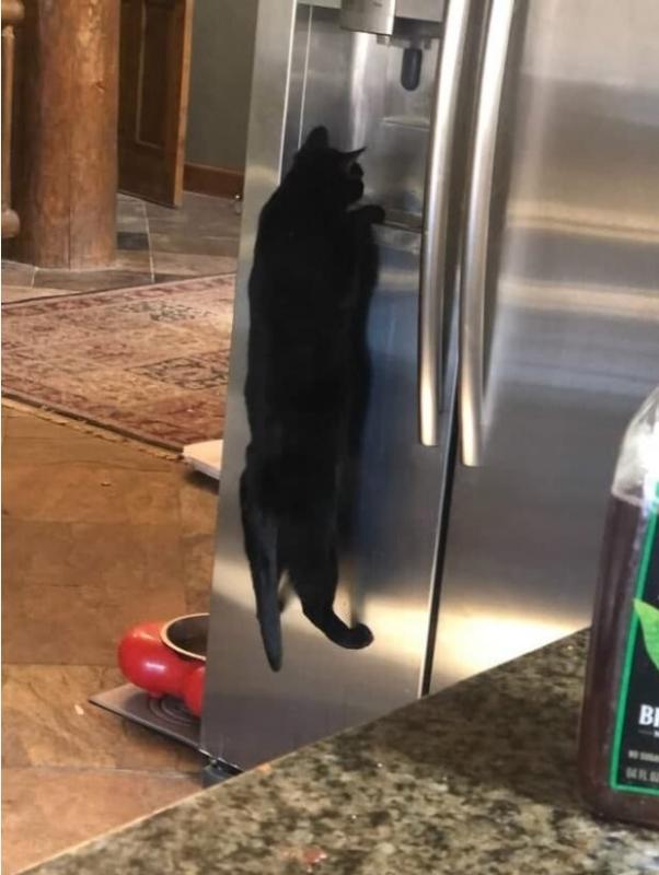 ������ ��������