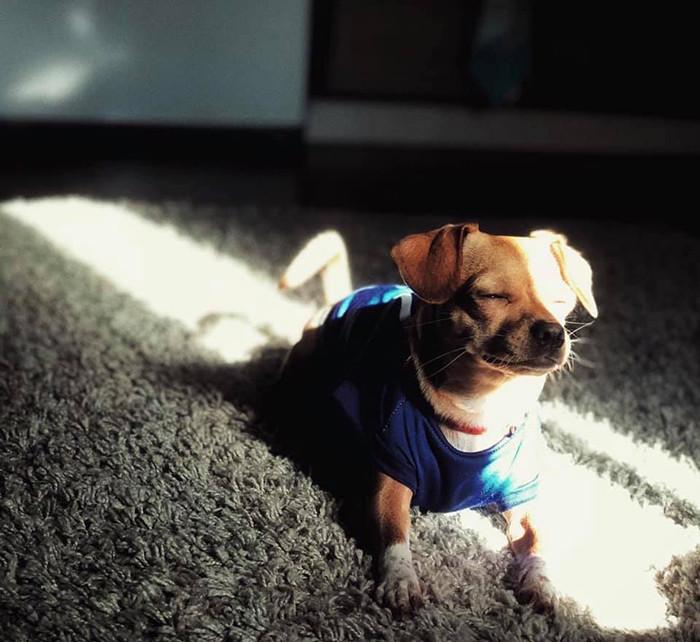 ������ ��������