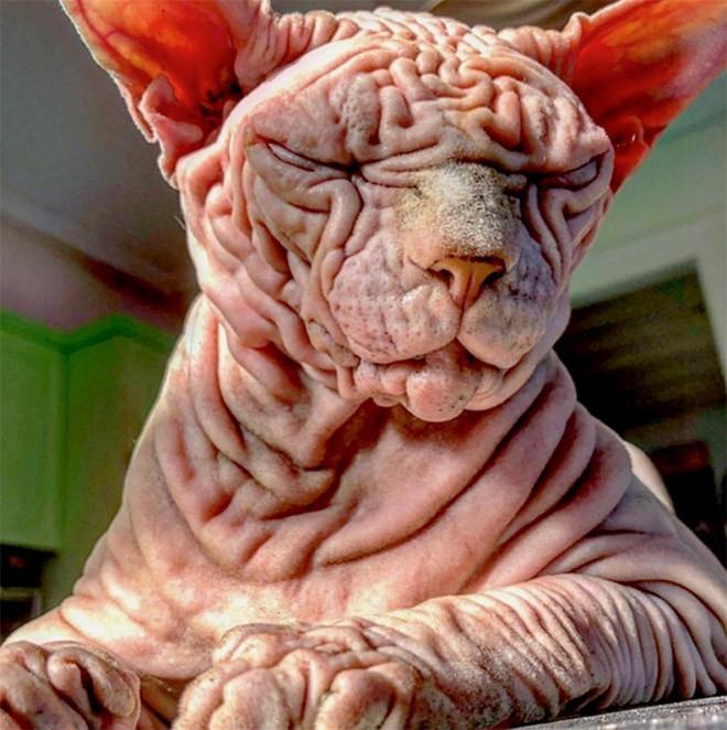 ������ ��������