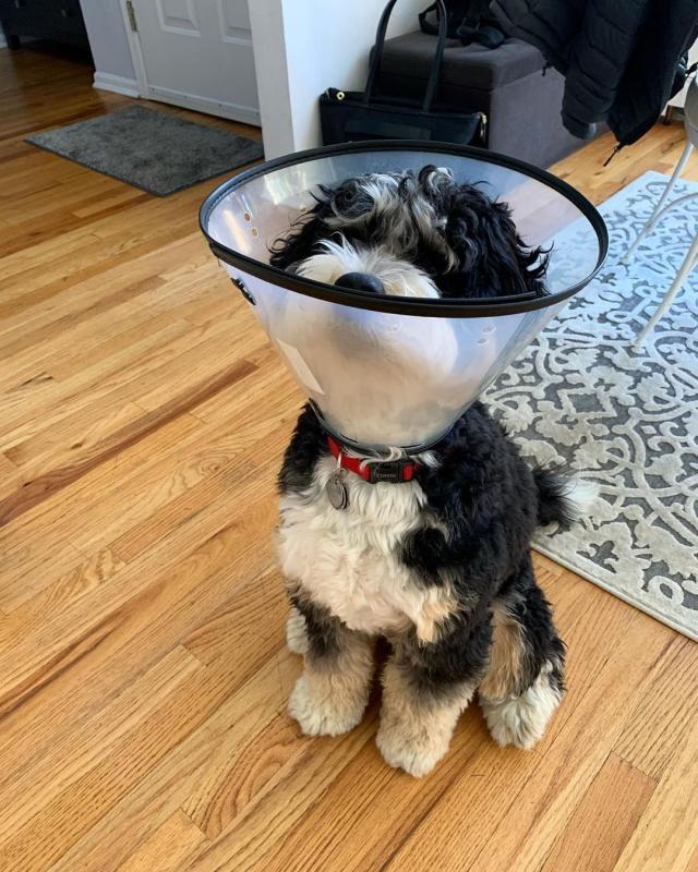 ������ ��������