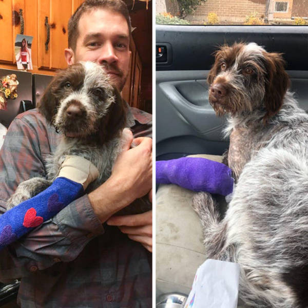 ������ ��������