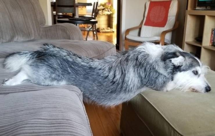 ������ ��������