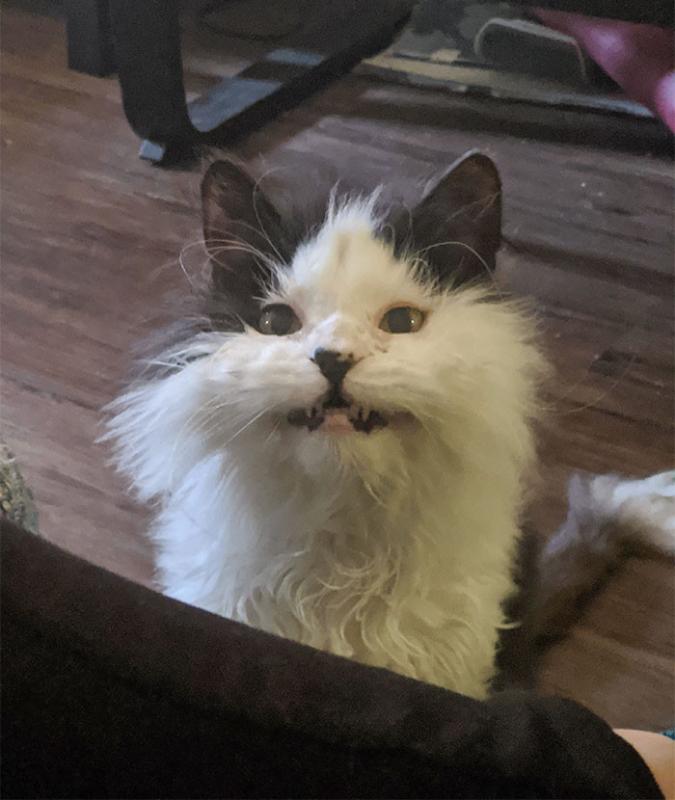 ������ ��������