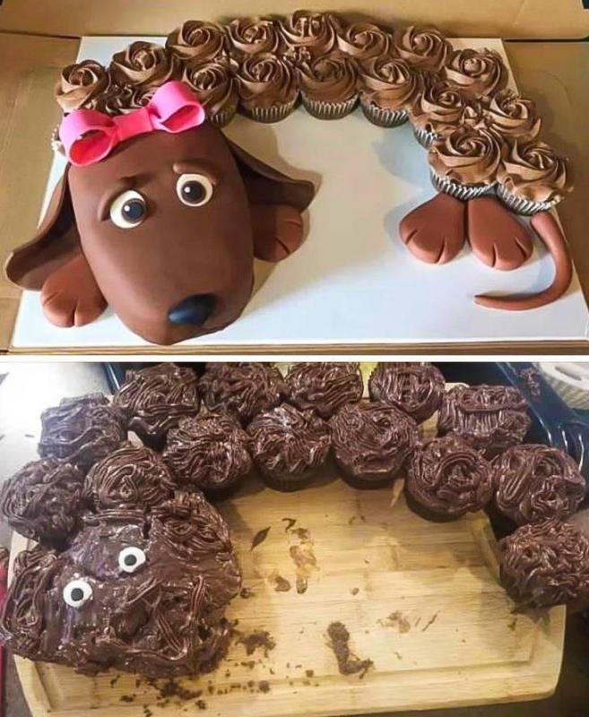 ������ ��������