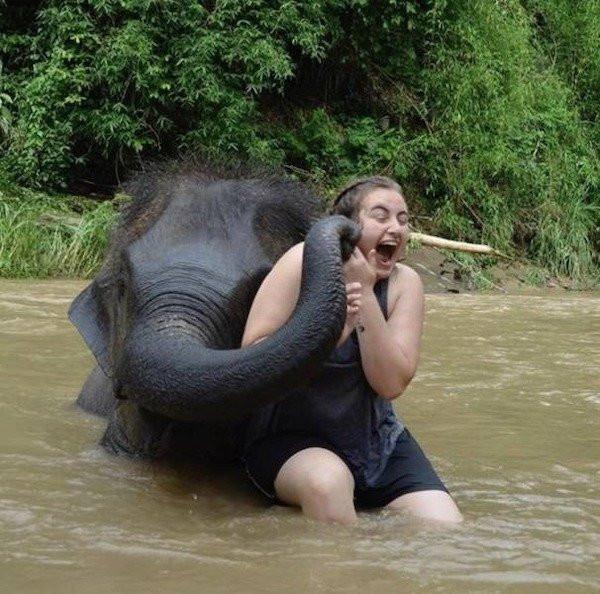 ������ ��������