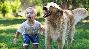 ������ ��������