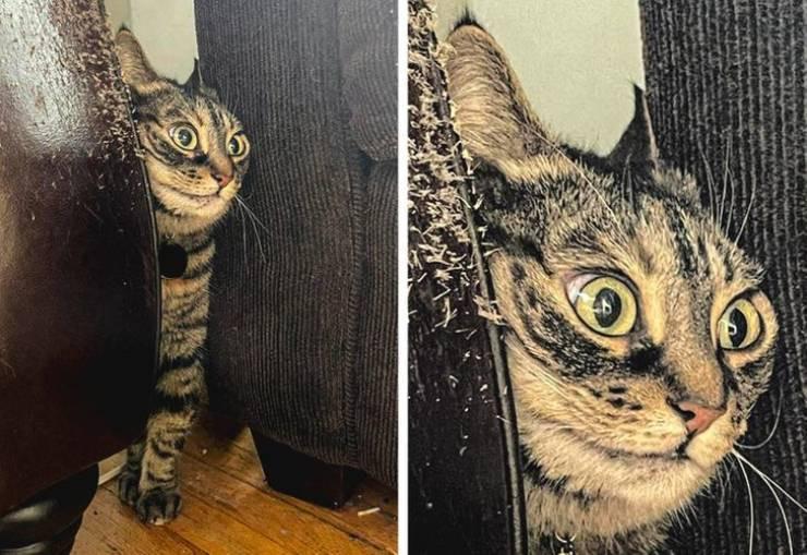 ������ ��������