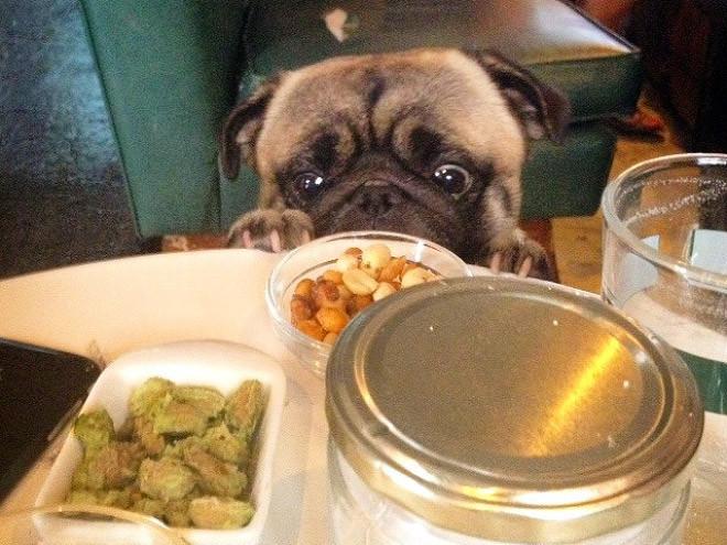 ������ ��������