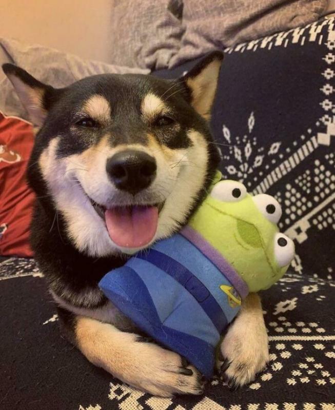 ������ ��������