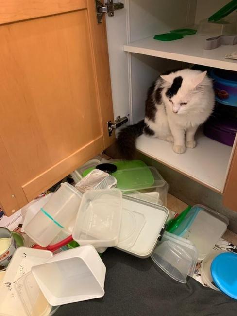 ������ ��������