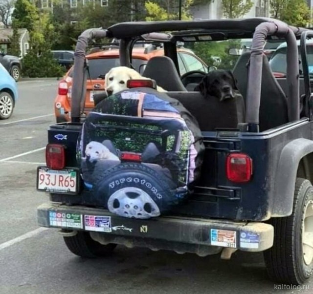 ������ ��������