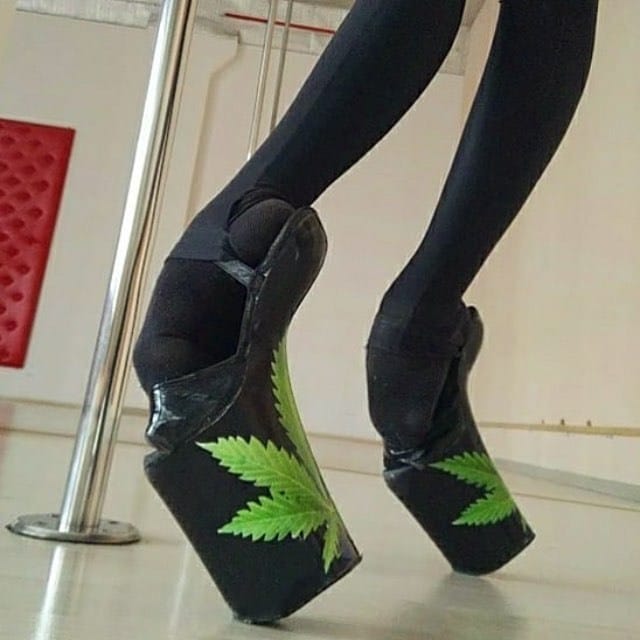 ������ ��������