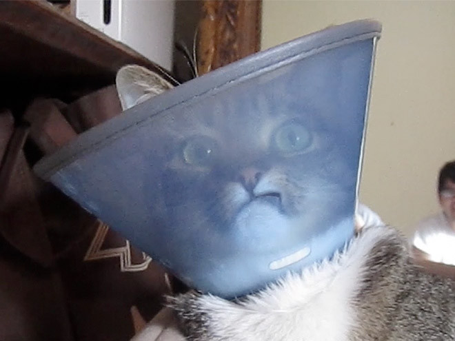 ������ ��������