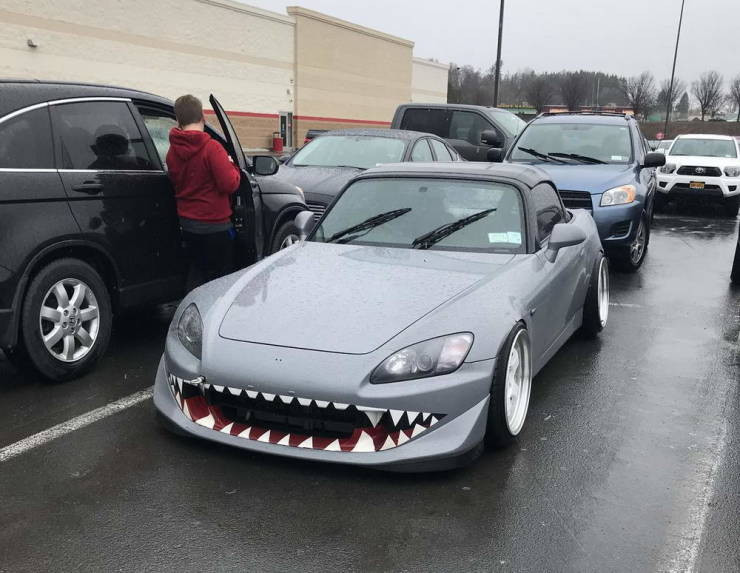 ������ ��������