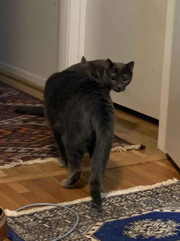 ������ ��������