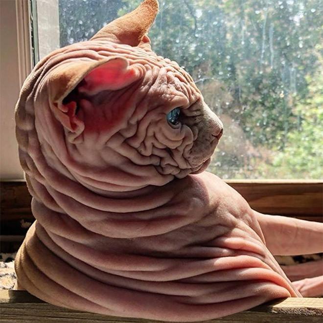 ������ ��������