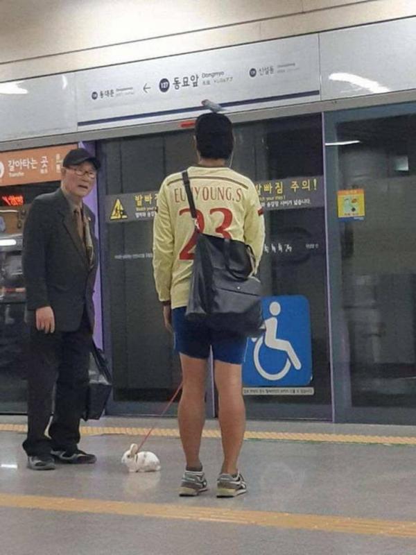 ������ ��������