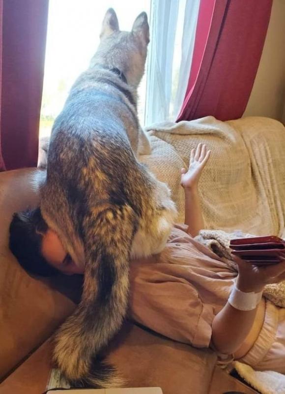 ������ ��������