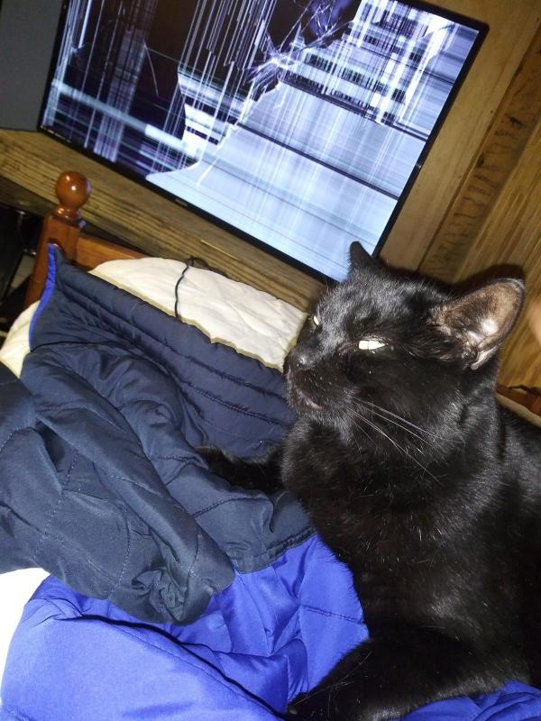 ������ ��������