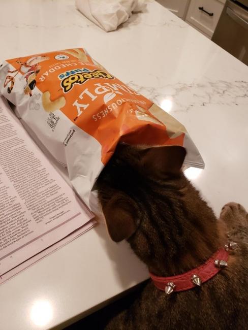 ������ ��������