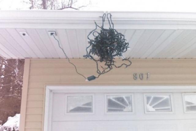 ������ ��������