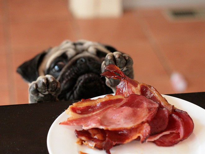 ������ ��������