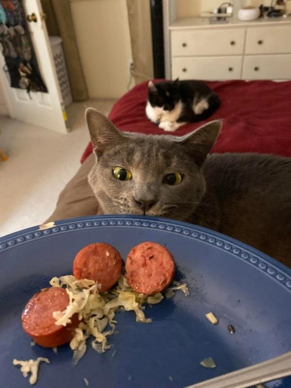 ������ ��������
