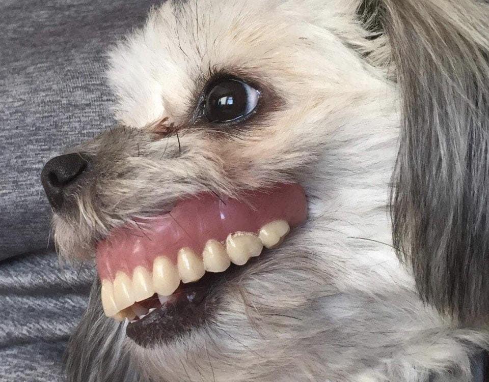 ������ ��������