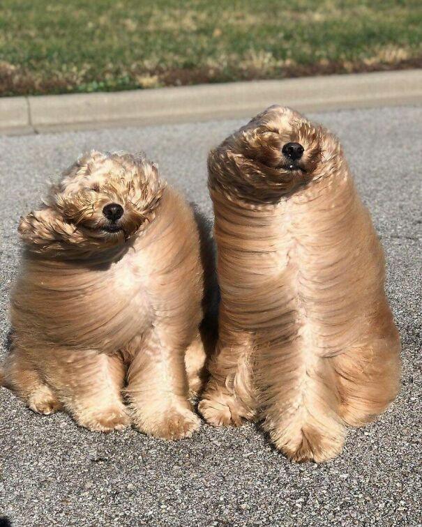 ������ ��������