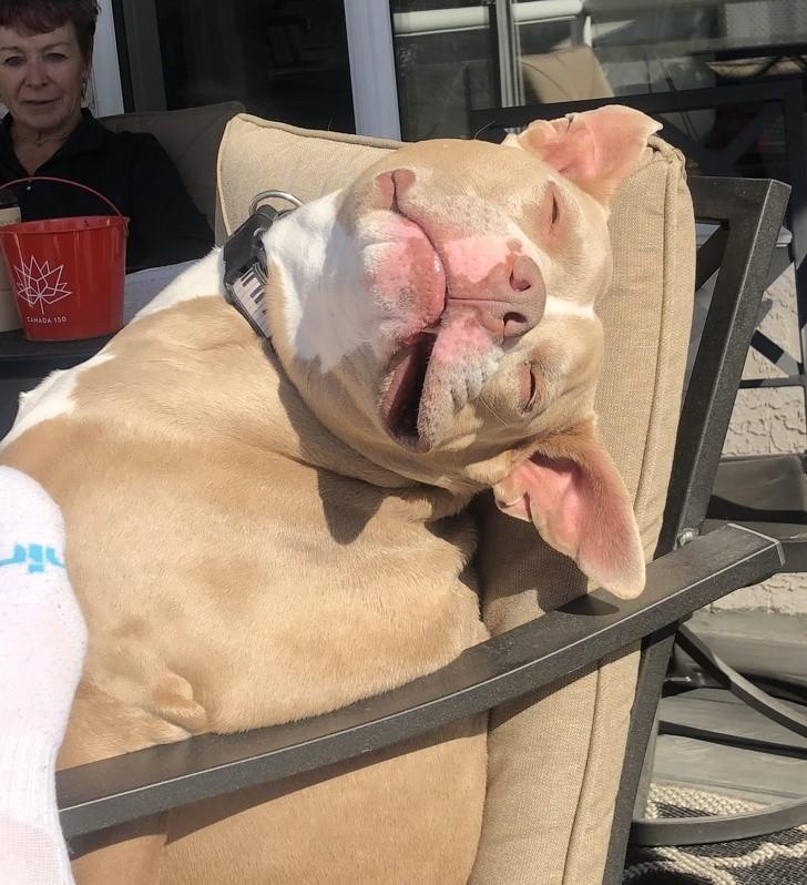 ������ ��������