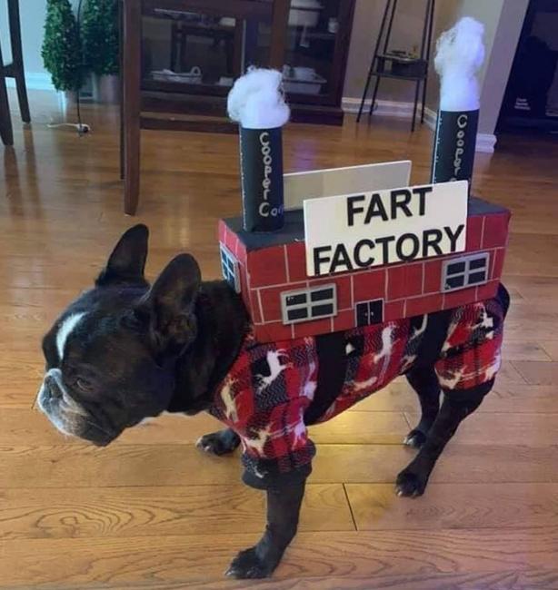 ������ ��������