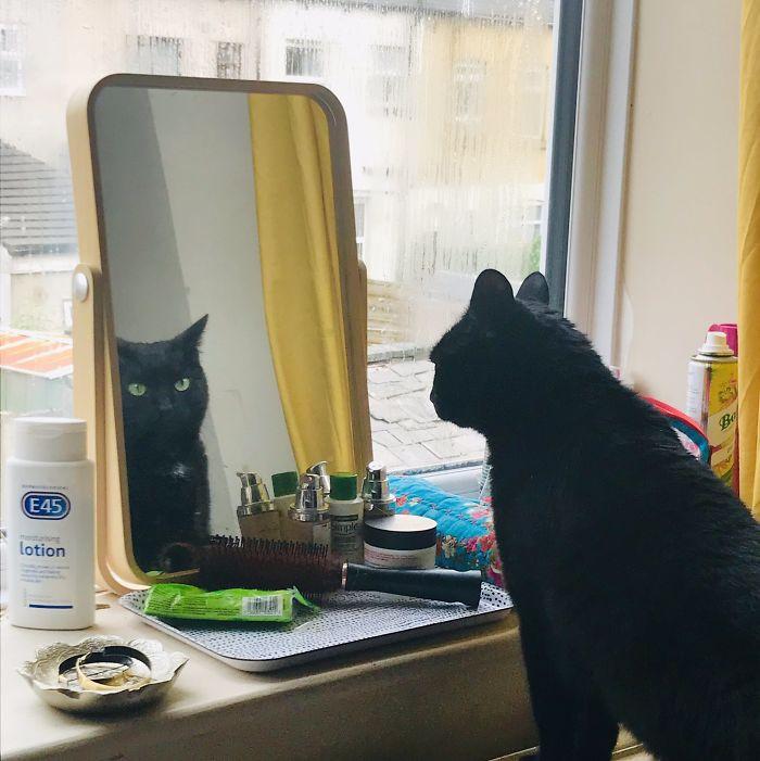 ������ ��������