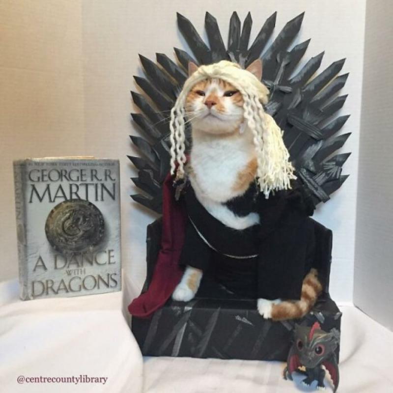 ������ ��������