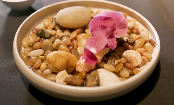 ������ ��������