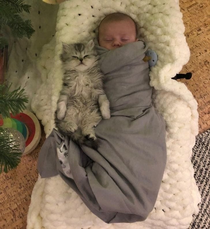 ������ ��������