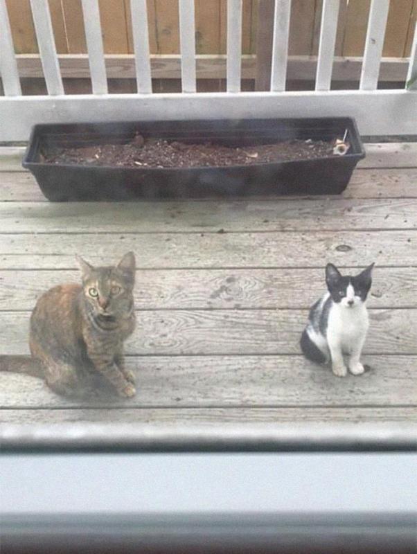 ������ ��������