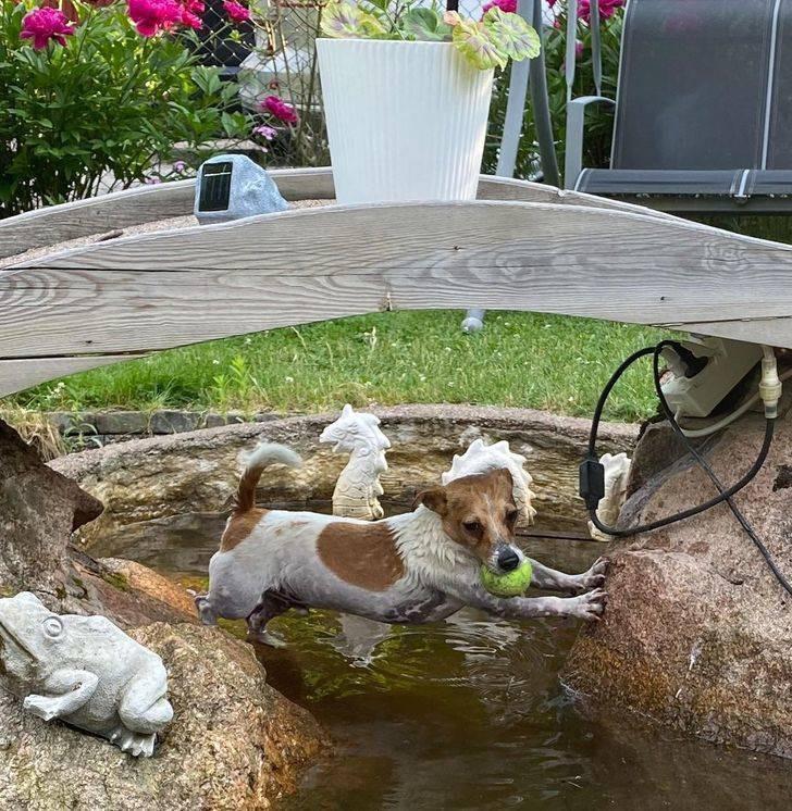 ������ ��������