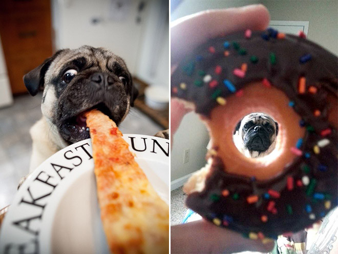 ������ ��������