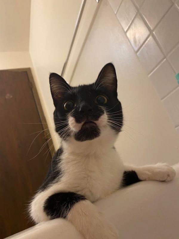 ������ ��������