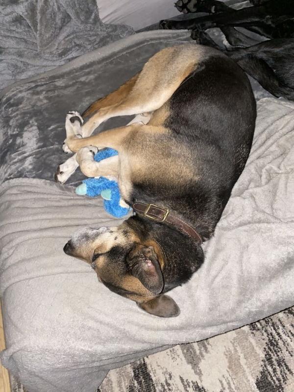 ������ ��������