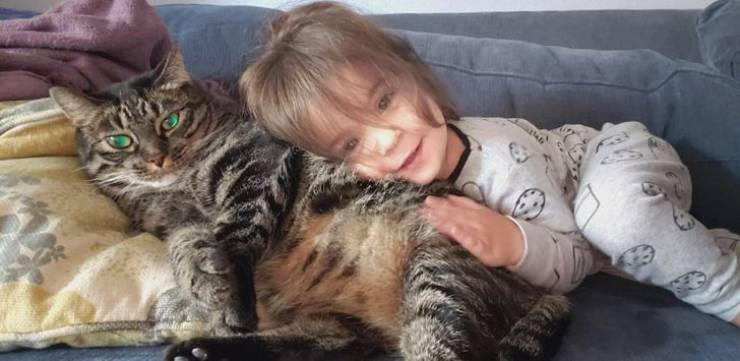 ������ ��������