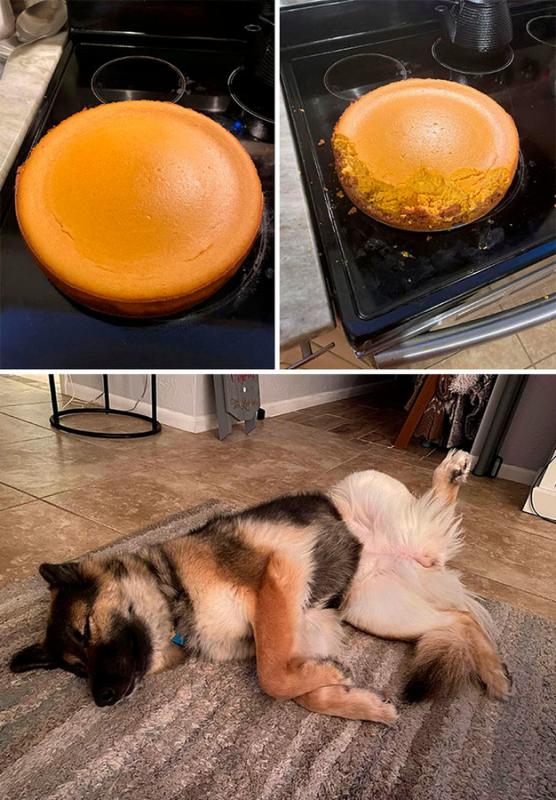 ������ ��������