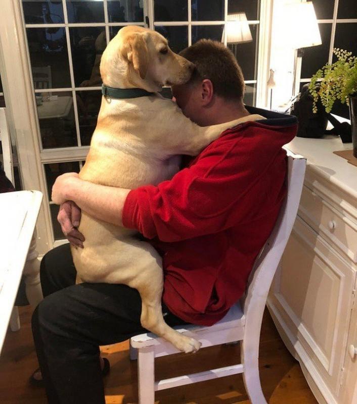 ������ ��������